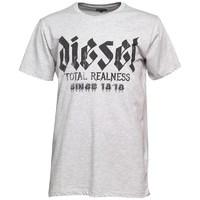 Diesel Mens T-Adal T-Shirt Grey