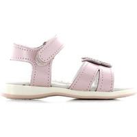 dimonte 402 sandals kid pink boyss childrens sandals in pink