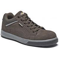 Dickies Dickies Anvik Safety Shoe Brown (Size 11)