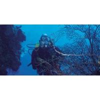 Discover Scuba - 2-3 Hours