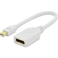 DisplayPort Adapter [1x Mini DisplayPort plug - 1x DisplayPort socket] White