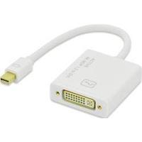 DisplayPort / DVI Adapter [1x Mini DisplayPort plug - 1x DVI socket 29-pin] White