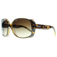 DKNY 4101 Sunglasses Dark Havana 301613