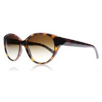 DKNY 4120 Sunglasses Dark Tortoise 301613