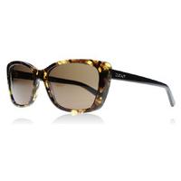 dkny 4130 sunglasses tortoise 367873