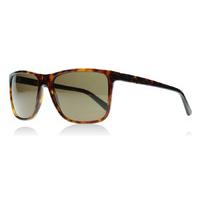 DKNY 4127 Sunglasses Tortoise 366973