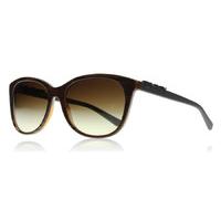 dkny 4126 sunglasses brown and black 366713