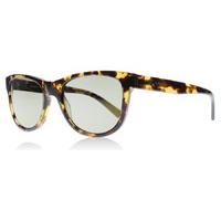 DKNY 4139 Sunglasses Tortoise 37004T