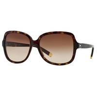 DKNY DY4078B 301613 Havana