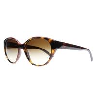 dkny dy4120 301613 tortoisered