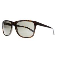 DKNY DY4131 301673 Tortoise