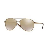 DKNY Sunglasses DY5082 12236E
