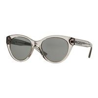 DKNY Sunglasses DY4135 369187