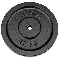 dkn cast iron standard weight plates 25kg