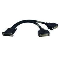 dms59 to 2 dvi i splitter cable 1 ft