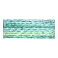 DMC Color Variations Embroidery Thread 4040