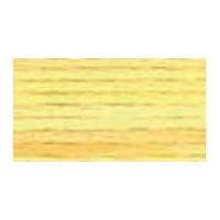 DMC Color Variations Embroidery Thread 4077