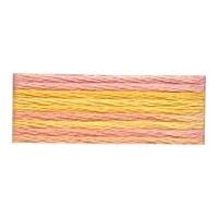 DMC Color Variations Embroidery Thread 4100