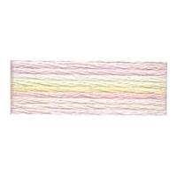 DMC Color Variations Embroidery Thread 4160