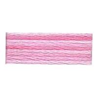 DMC Color Variations Embroidery Thread 4180