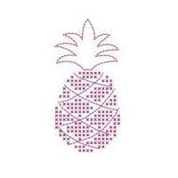 DMC Custom By Me Pineapple Embroidery Kit