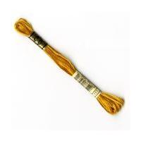 DMC Moulin Special 25 Variegated Cotton Thread Colour Code 111