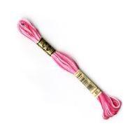 DMC Moulin Special 25 Variegated Cotton Thread Colour Code 48