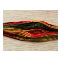 DMC Coloris Stranded Cotton Embroidery Thread 4511 Ete Indien