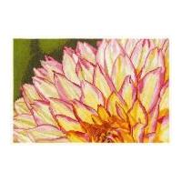 DMC Variegated Dahlia Counted Cross Stitch Kit