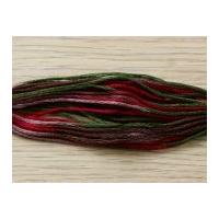 DMC Coloris Stranded Cotton Embr...