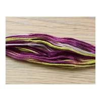 DMC Coloris Stranded Cotton Embroidery Thread 4503 Glycine
