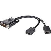 DMS-59 / HDMI Y cable [1x DMS-59 plug - 2x HDMI socket] 0.16 m Black Renkforce