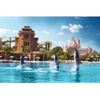 Dolphin Experience at Atlantis The Palm in Dubai