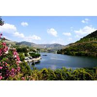 douro valley small group tour with wine tasting portuguese lunch and o ...
