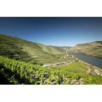 Douro Valley and Wine Day Trip from Porto with Cruise and Optional Lunch