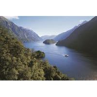 Doubtful Sound Wilderness Cruise from Te Anau