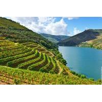 Douro Valley Small Group Tour with 4 Gastronomic Experiences and 3 Wine Tastings