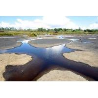 Down South Tour of Trinidad