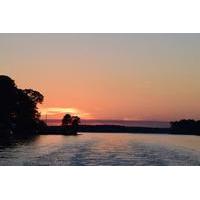 dolphins at sunset kayak tour