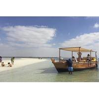 Dolphin Bay: Remote Natural Beach Getaway Day Cruise From Abu Dhabi