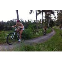 Downhill Bali Hidden Cycling Tour