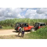 dominican jeep safari