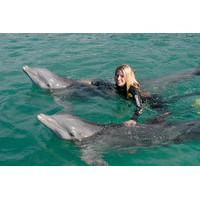 Dolphin Swim in Freeport