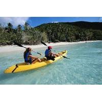 Dominica Shore Excursion: River to Ocean Kayaking Adventure