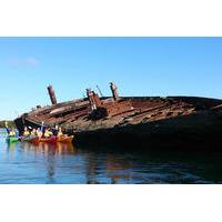 Dolphin Sanctuary and Ships Graveyard Kayaking Adventure from Adelaide