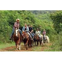 Dominican Republic Countryside Horseback Riding from Puerto Plata