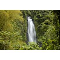 Dominica Full Day Round Island Tour