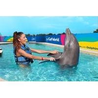 Dolphin Encounter at Gulf World Marine Park
