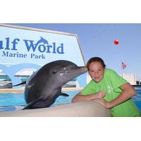 Dolphin Meet and Greet at Gulf World Marine Park