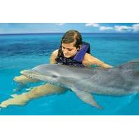 Dolphin Cove Adventures from Montego Bay